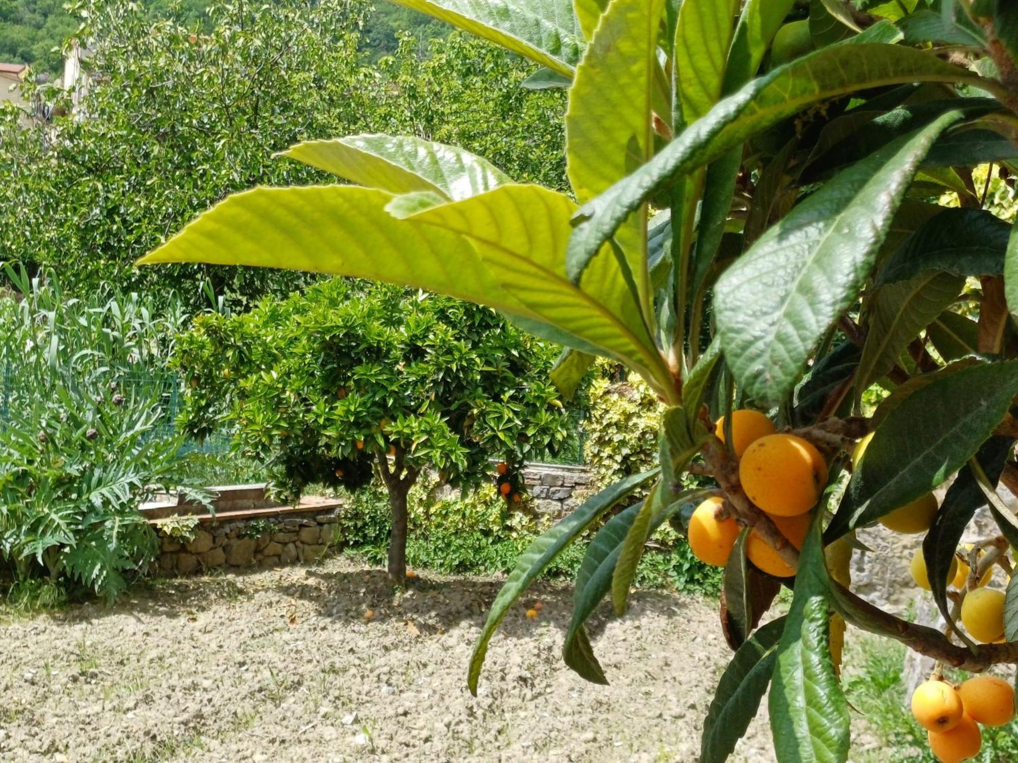 كاميروتا Country House B&B Antica Dimora Del Sole المظهر الخارجي الصورة