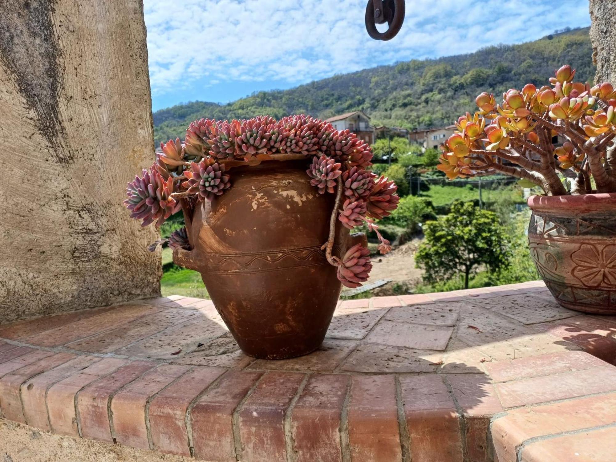 كاميروتا Country House B&B Antica Dimora Del Sole المظهر الخارجي الصورة